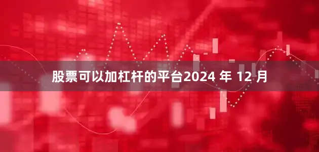 股票可以加杠杆的平台2024 年 12 月