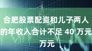 合肥股票配资和儿子两人的年收入合计不足 40 万元